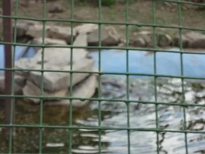 Mini škola v přírodě, 15. 5. 2015
