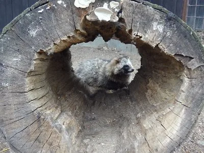 Mini škola v přírodě, 15. 5. 2015