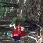 Mini škola v přírodě, 15. 5. 2015
