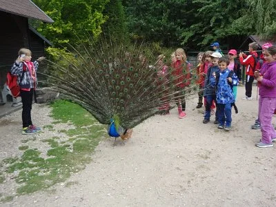 Operetka Perníková chaloupka, 20. 6. 2015
