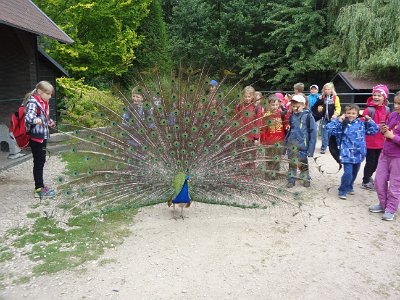 Operetka Perníková chaloupka, 20. 6. 2015