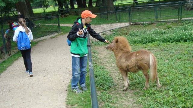 Školní výlet pro 1. -5. třídu, 20. 6. 2015