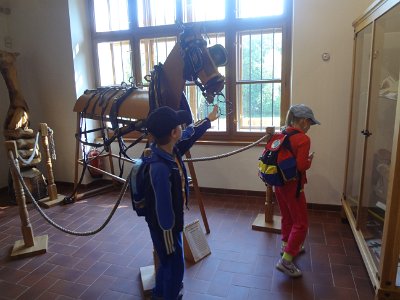 Starokladrubské koně, muzeum Švýcárna, 17. 6. 2015