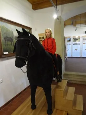 Starokladrubské koně, muzeum Švýcárna, 17. 6. 2015