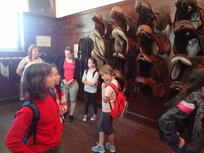 Starokladrubské koně, muzeum Švýcárna, 17. 6. 2015