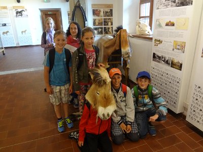 Starokladrubské koně, muzeum Švýcárna, 17. 6. 2015