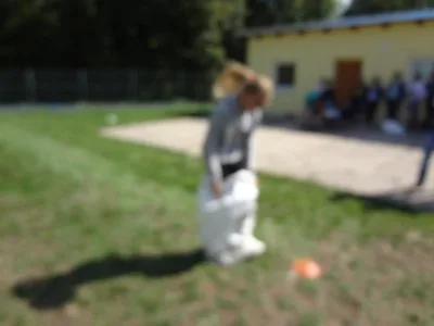 Den logických her, 5. 9. 2015