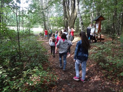 Den logických her, 5. 9. 2015
