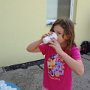 Den logických her, 5. 9. 2015
