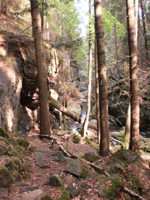 Zeměpisná exkurze 8. ročníku do údolí řeky Doubravy, 26. 9. 2015