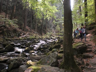 Zeměpisná exkurze 8. ročníku do údolí řeky Doubravy, 26. 9. 2015