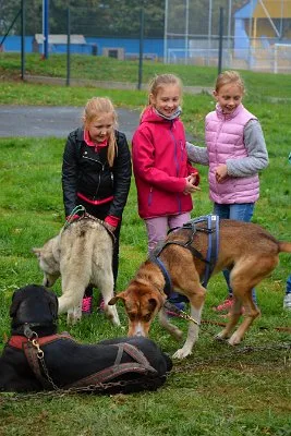 Mushing - psí spřežení na školní zahradě, 10. 10. 2015