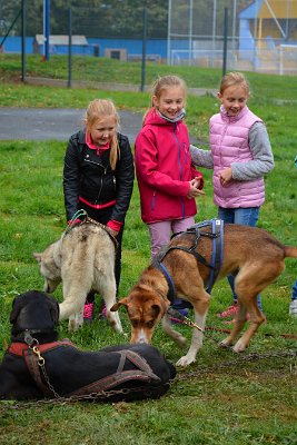Mushing - psí spřežení na školní zahradě, 10. 10. 2015