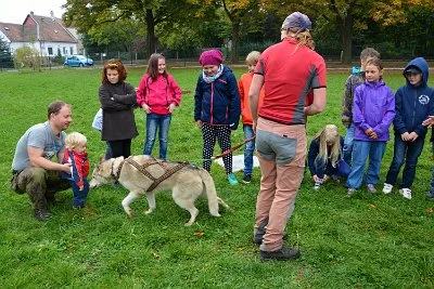 Mushing - psí spřežení na školní zahradě, 10. 10. 2015