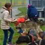 Mushing - psí spřežení na školní zahradě, 10. 10. 2015