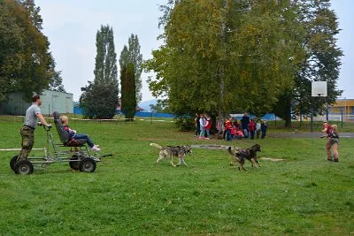 Mushing - psí spřežení na školní zahradě, 10. 10. 2015