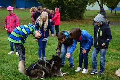 Mushing - psí spřežení na školní zahradě, 10. 10. 2015