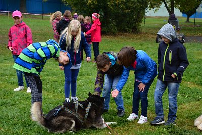 Mushing - psí spřežení na školní zahradě, 10. 10. 2015