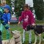 Mushing - psí spřežení na školní zahradě, 10. 10. 2015