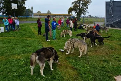 Mushing - psí spřežení na školní zahradě, 10. 10. 2015