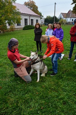 Mushing - psí spřežení na školní zahradě, 10. 10. 2015