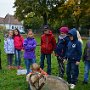 Mushing - psí spřežení na školní zahradě, 10. 10. 2015