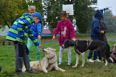 Mushing - psí spřežení na školní zahradě, 10. 10. 2015