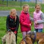 Mushing - psí spřežení na školní zahradě, 10. 10. 2015