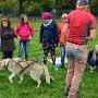 Mushing - psí spřežení na školní zahradě, 10. 10. 2015
