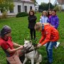 Mushing - psí spřežení na školní zahradě, 10. 10. 2015