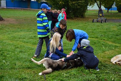 Mushing - psí spřežení na školní zahradě, 10. 10. 2015