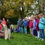 Mushing - psí spřežení na školní zahradě, 10. 10. 2015