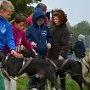 Mushing - psí spřežení na školní zahradě, 10. 10. 2015