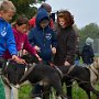 Mushing - psí spřežení na školní zahradě, 10. 10. 2015
