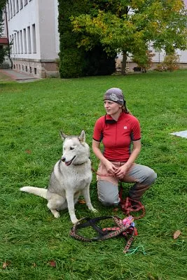 Mushing - psí spřežení na školní zahradě, 10. 10. 2015