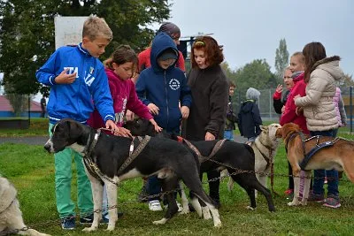 Mushing - psí spřežení na školní zahradě, 10. 10. 2015