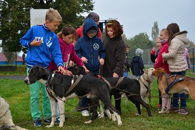 Mushing - psí spřežení na školní zahradě, 10. 10. 2015
