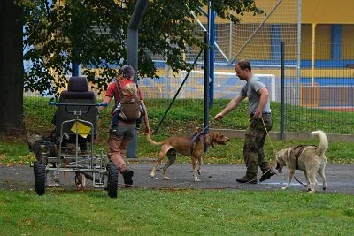 Mushing - psí spřežení na školní zahradě, 10. 10. 2015
