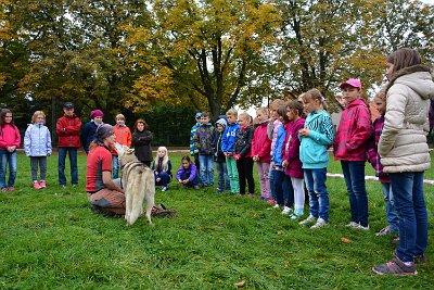 Mushing - psí spřežení na školní zahradě, 10. 10. 2015