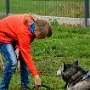 Mushing - psí spřežení na školní zahradě, 10. 10. 2015