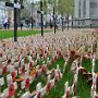 Day 1, 2 - Great Britain, London, 15. 11. 2015
