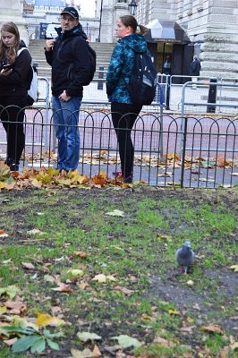 Day 1, 2 - Great Britain, London, 15. 11. 2015