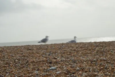 Day 3, 4 - Great Britain, Hastings, Porstmouth, 18. 11. 2015