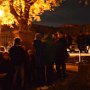 Halloween 2015, 7. 11. 2015