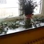 Adventní trhy, 1. 12. 2015
