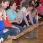 SMYSLY ZVÍŘAT, 25. 4. 2016