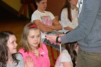 SMYSLY ZVÍŘAT, 25. 4. 2016