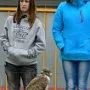 ZAYFERUS - Výcvik dravců, 26. 5. 2016