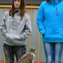 ZAYFERUS - Výcvik dravců, 26. 5. 2016