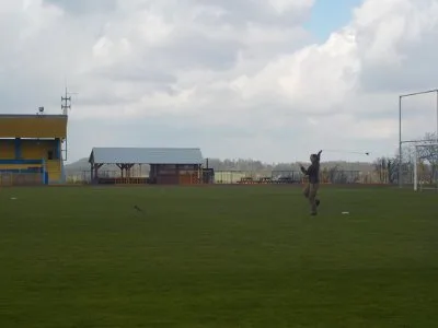 ZAYFERUS - Výcvik dravců, 26. 5. 2016
